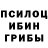 Галлюциногенные грибы прущие грибы Leila.aa2003