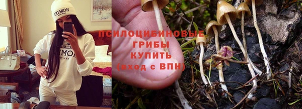 трава Балабаново