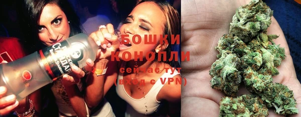PSILOCYBIN Баксан