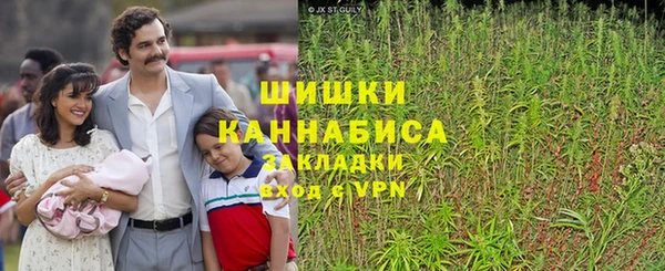 PSILOCYBIN Баксан