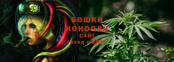 ECSTASY Балахна
